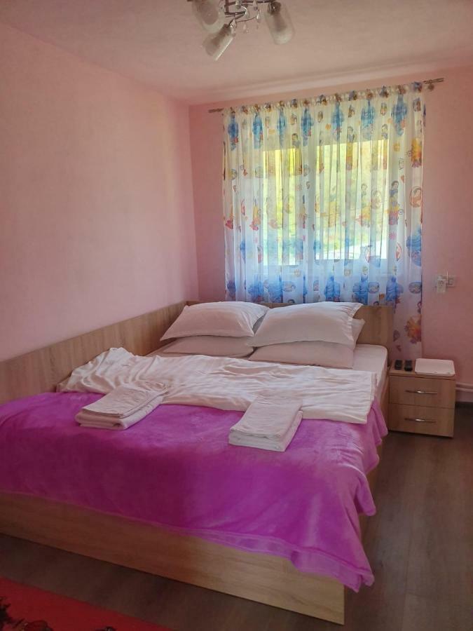 Hotel La Bustea à Hartagani Extérieur photo