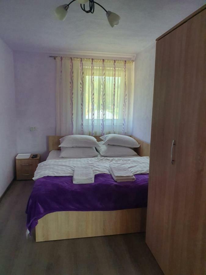 Hotel La Bustea à Hartagani Extérieur photo